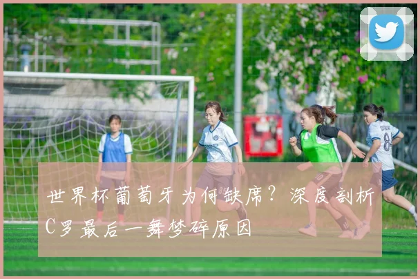 爱游戏体育